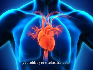 Transesophageal echocardiography