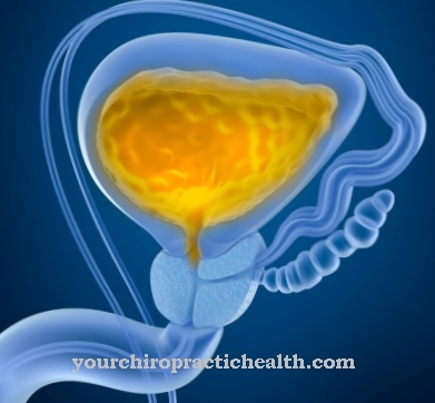 Uroflowmetria