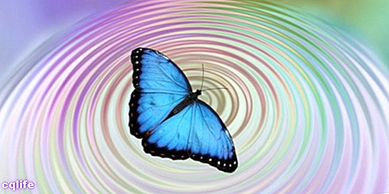 efekt motýlich krídel