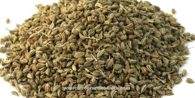 Ajwain