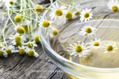 The healing power of chamomile