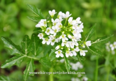 Real watercress