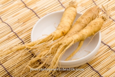 ginseng