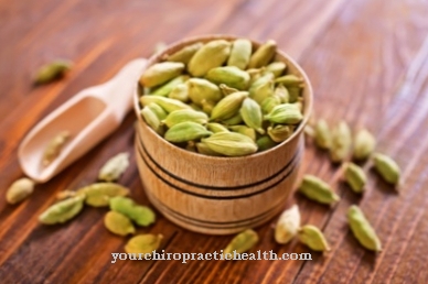 Green cardamom