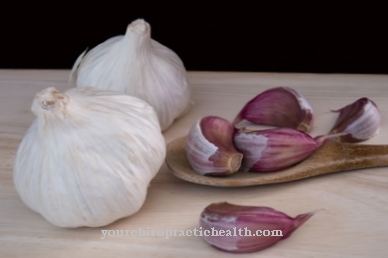 garlic