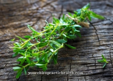 Summer savory