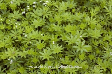 Woodruff