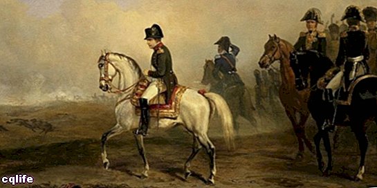 napoleonské vojny