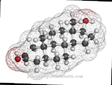 5-alpha reductase type 2 deficiency