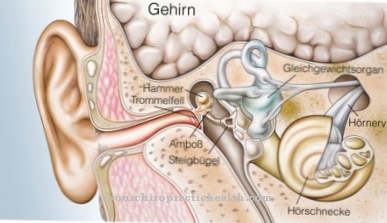 Neuroma acústico (neurinoma)