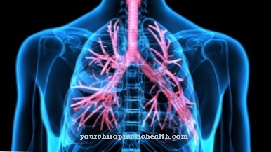 Acute bronchitis