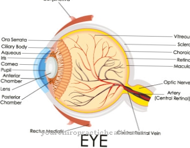 Anterior ischemic optic neuropathy