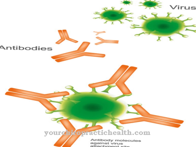 Antibody Deficiency Syndrome