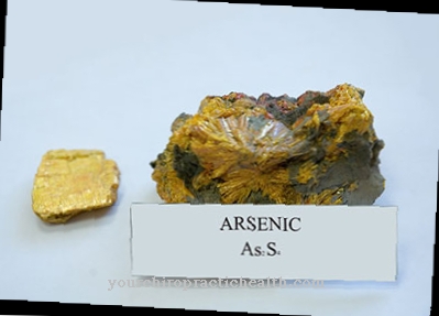 Arsenic intoxication