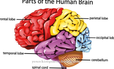 Asomatognosia