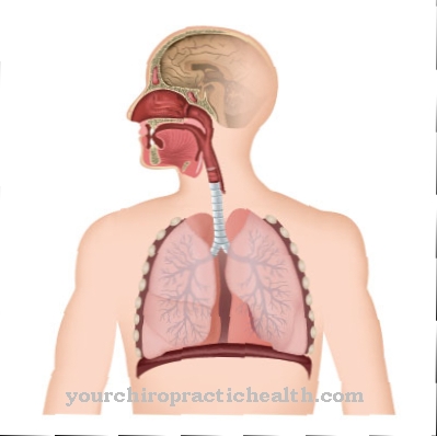 Respiratory diseases