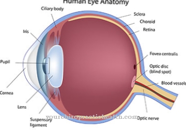 Eye diseases