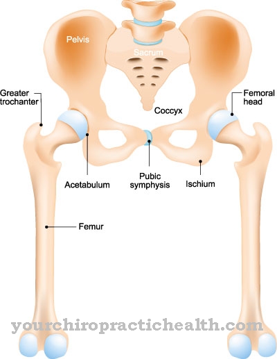 Pelvic inclination