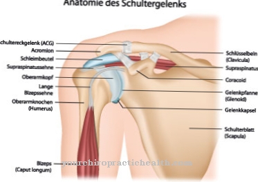 Biceps senesår