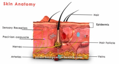 Autoimmune blistering dermatoses