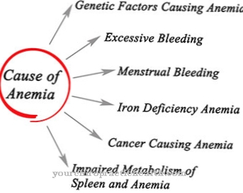 Anemia hemorrágica