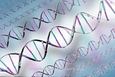 Cholesterol ester storage disease