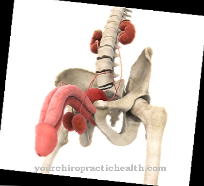 Sindrome da dolore pelvico cronico (CPPS)