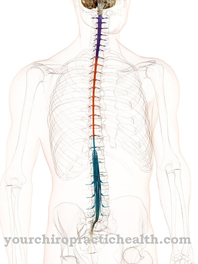 Spinal kommunikation