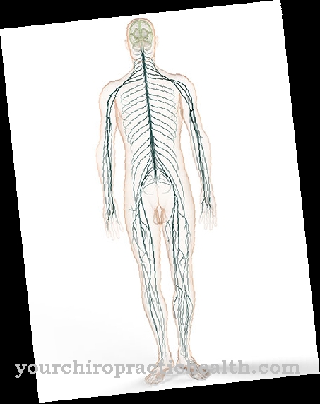 Compressio spinalis