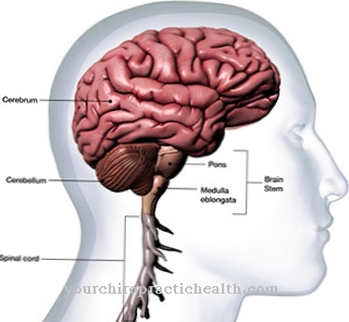 Creutzfeldt-Jakob disease