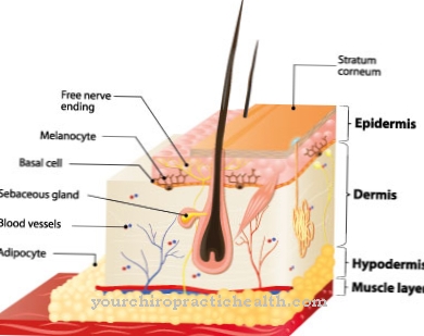 Cutis laxa syndrom