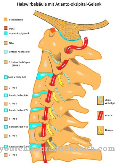 Dens fracture