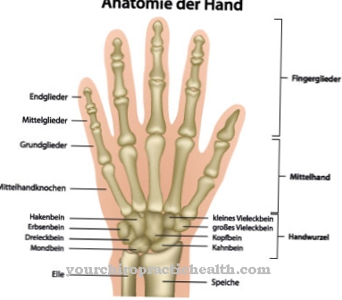 ไตรภาคี Thumb Polysyndactyly Syndrome