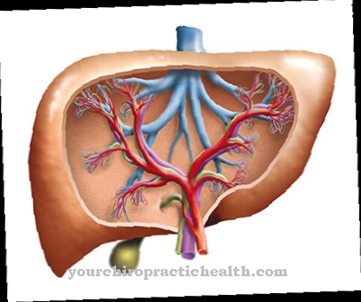 Dubin-Johnson Syndrome