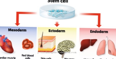 Ektodermalna displazija