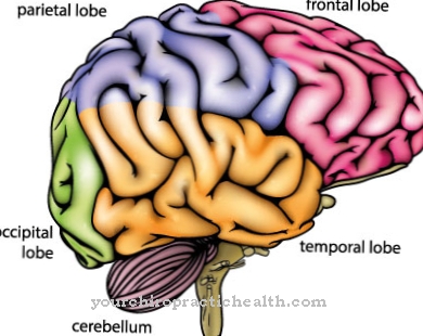 Encephalopathy