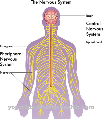 Ependymoma