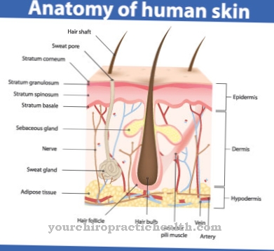 Erythroderma