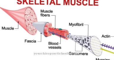 דלקת fasciitis