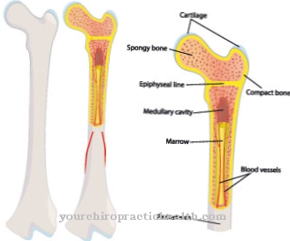 Fibrodysplasia ossificans progressiva