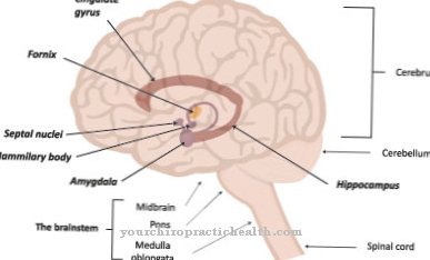 Foville syndrom