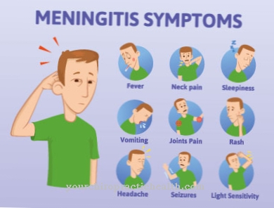 Meningoencephalitis awal musim panas (TBE)