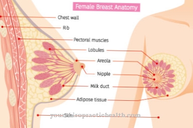 Galactorrhea (tiết sữa mẹ bất thường)