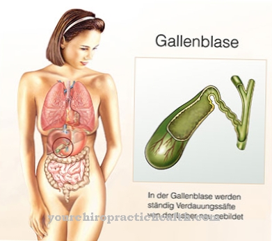 Gallblåscancer och gallvägscancer