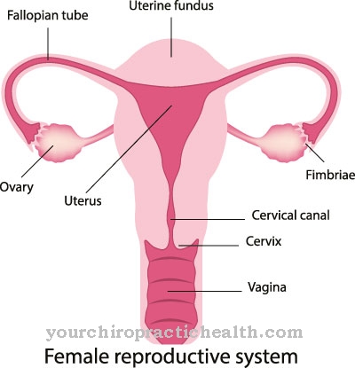 Cervical infection