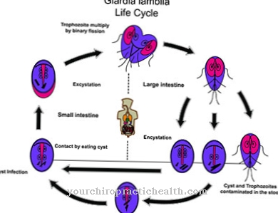 Giardiaza (Lambliasis)