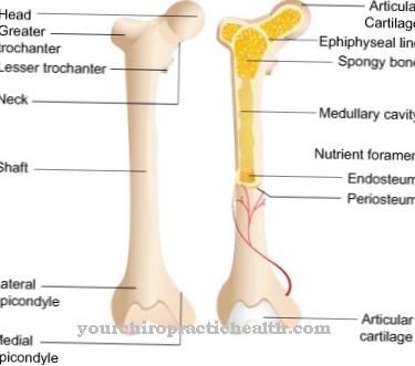 Gorham-Stout Syndrome