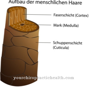 Hair follicle inflammation