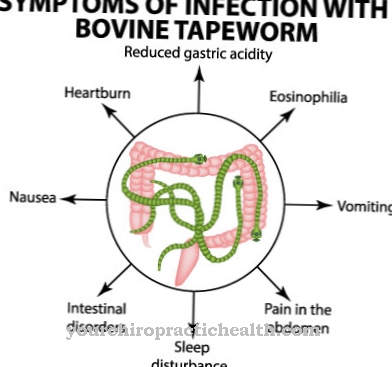 Hookworm-tauti ja ihomole