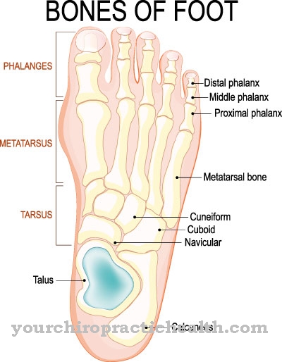 Hallux varus